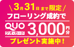 キャンペーン実施中